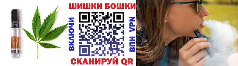 Купить где  Николаевск  Canna-Cookies конопля 