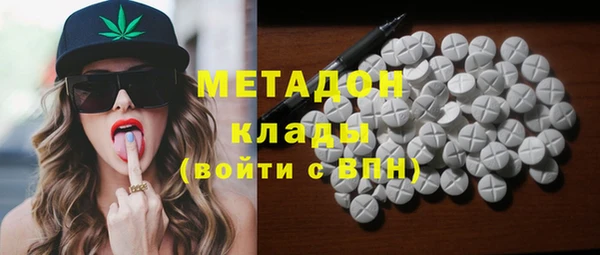 сатива Верея