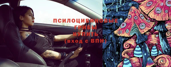 сатива Верея