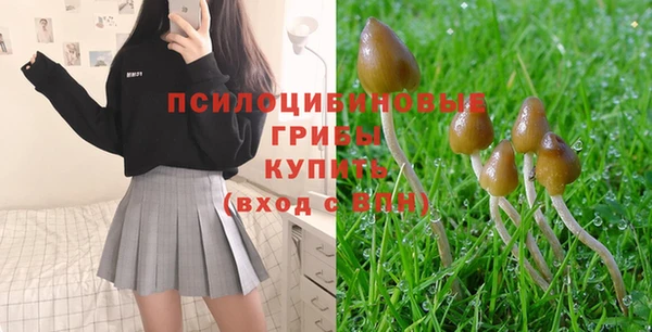 сатива Верея