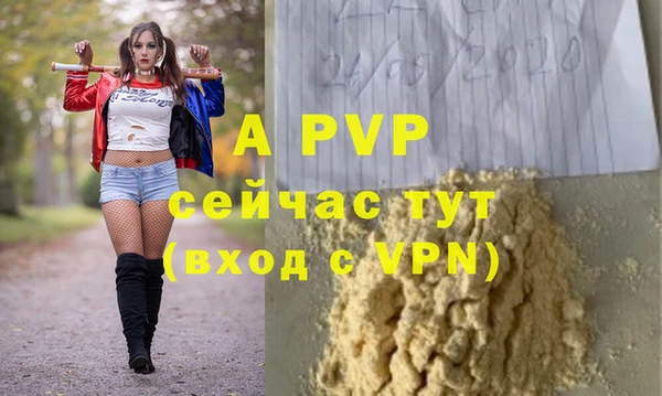 сатива Верея